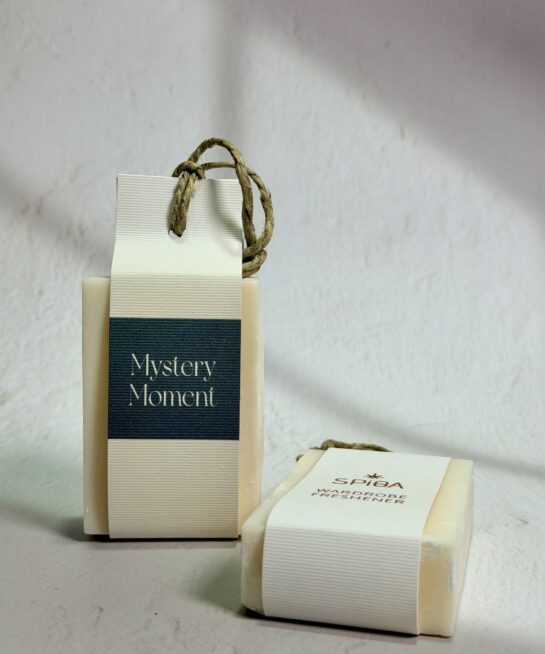 ΑΡΩΜΑΤΙΚΟ ΝΤΟΥΛΑΠΑΣ WARDROBE FRESHENER MYSTERY MOMENT