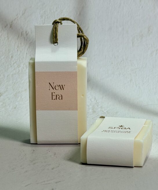 ΑΡΩΜΑΤΙΚΟ ΝΤΟΥΛΑΠΑΣ WARDROBE FRESHENER NEW ERA