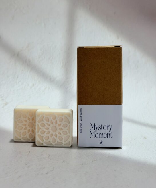 wax melts mystery moment