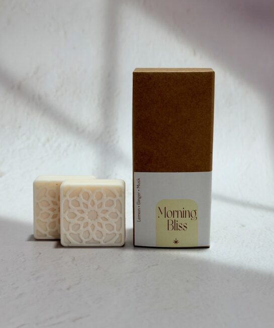 wax melts morning bliss