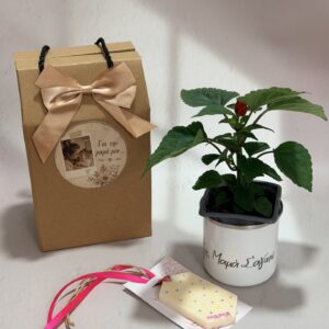 μαμά σ'αγαπώ - σέτ δώρου με κούπα, φυτό & αρωματική ταμπλέτα