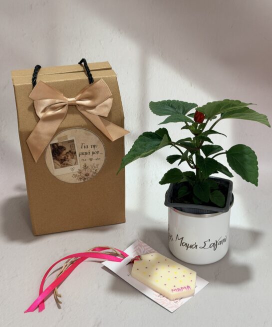 μαμά σ'αγαπώ - σέτ δώρου με κούπα, φυτό & αρωματική ταμπλέτα